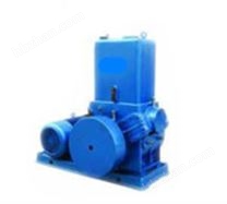 H型滑閥式機(jī)械真空泵