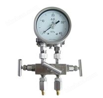 雙膜片式高靜壓差壓表