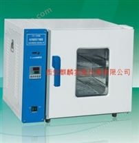電熱恒溫干燥箱