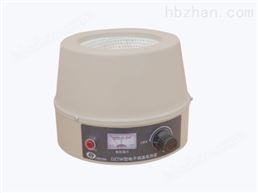 DZTW調(diào)溫電熱套100-2000ML