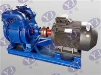 SK水環(huán)式真空泵