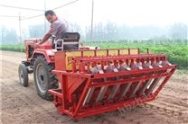 2BU-7大蒜播種機(jī)
