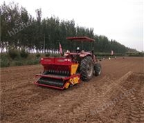 大蒜正芽播種機(jī)款