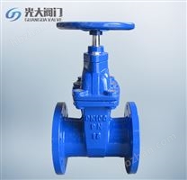 暗桿軟密封閘閥