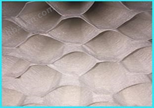 干城蔓&reg;NST生物斜管填料